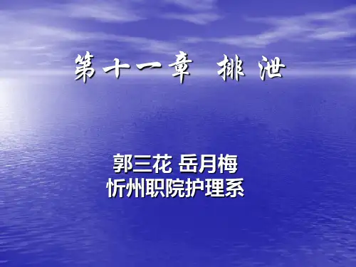 膀胱外括约肌—尿液排出体外排尿的机制