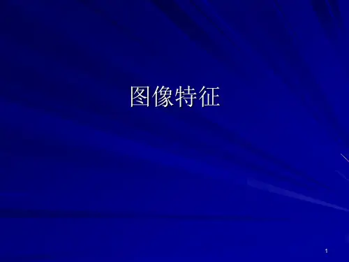 图像特征