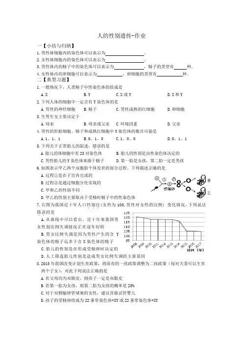 人的性别遗传-作业一小结与归纳
