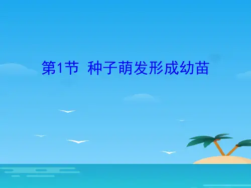 《种子萌发形成幼苗》PPT下载[优秀课件资料]