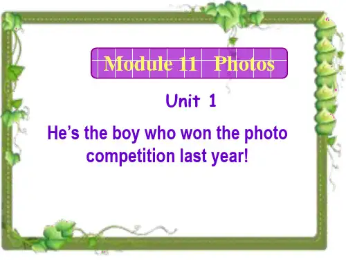 2014年秋外研版九年级上Module 11 Photos Unit 1课件