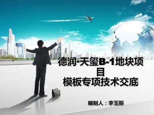德润天玺模板专项交底
