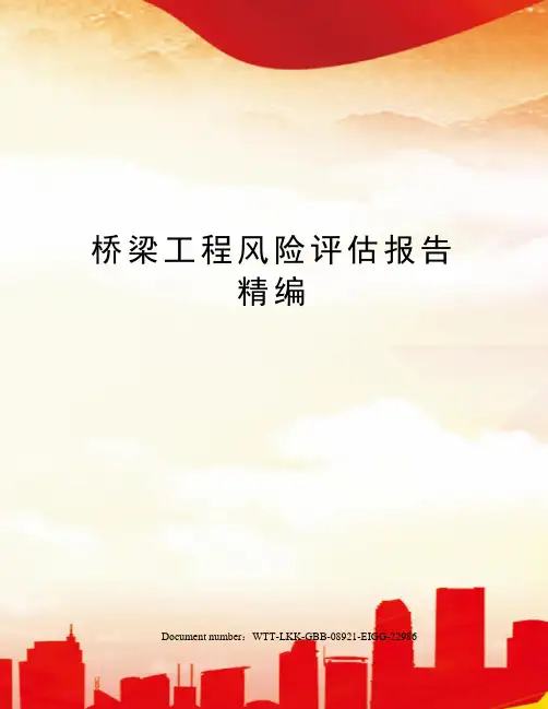桥梁工程风险评估报告精编