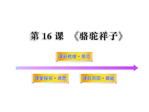 《骆驼祥子》之《高妈》(新人教版·选修)(56张ppt)