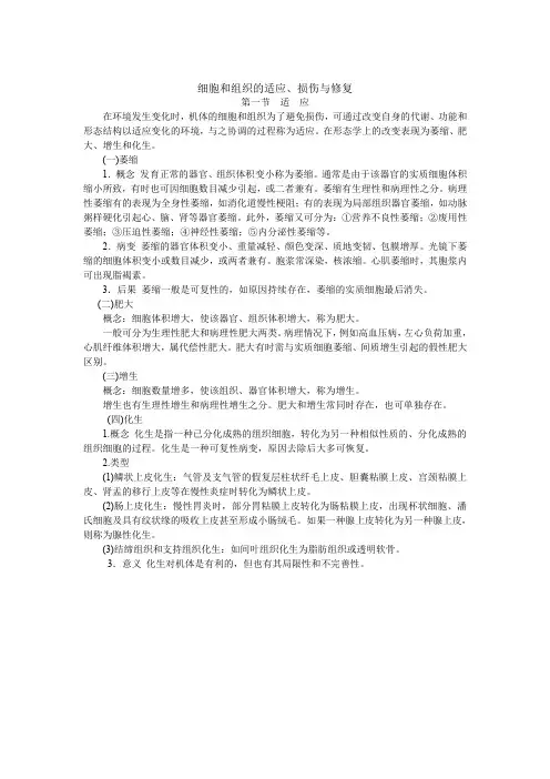 细胞和组织的适应、损伤与修复