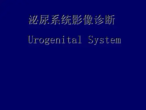 泌尿系统影像学表现详细全面 ppt课件