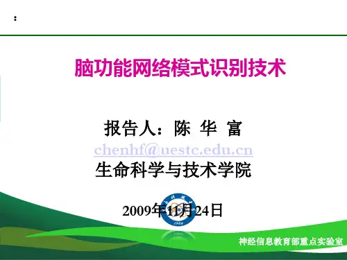 脑功能网络模式识别技术