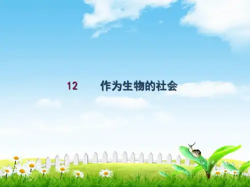秋人教版高中语文必修五课件：作为生物的社会二