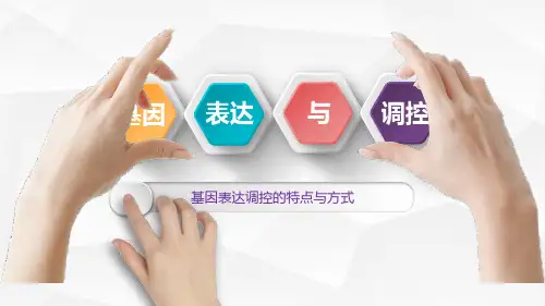 基因表达调控的特点与方式