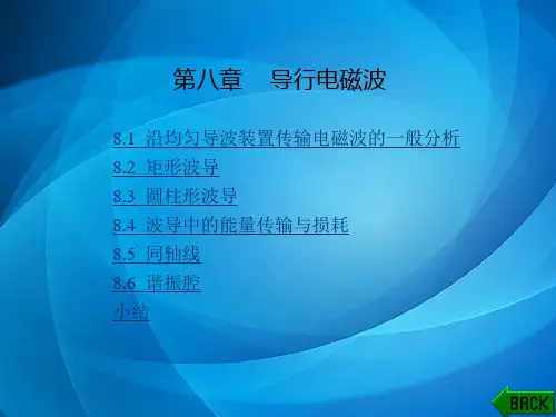 电磁场与电磁波(第四版) 08