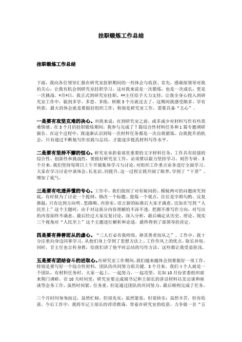 挂职锻炼工作总结 2