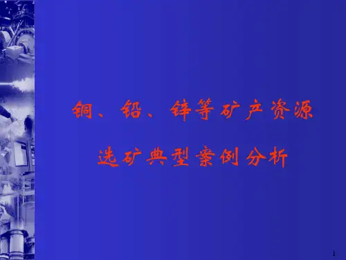 铜、铅、锌等矿产资源选矿典型案例分析ppt77