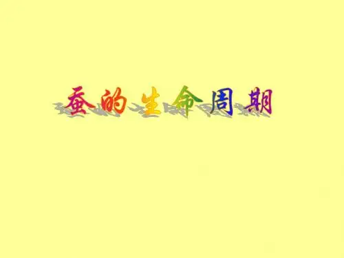2.5蚕的生命周期