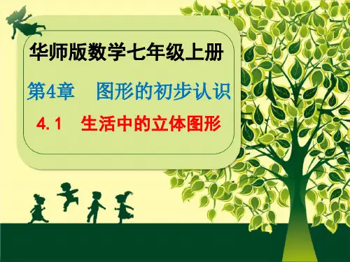 2020年秋华东师大版 数学七年级上册第4章《4.1  生活中的立体图形》课件(共29张PPT)