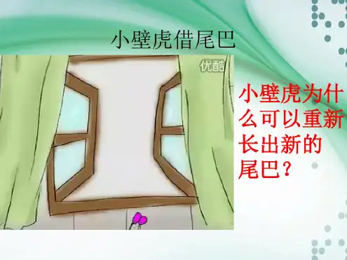 第一节细胞通过分裂产生新的细胞