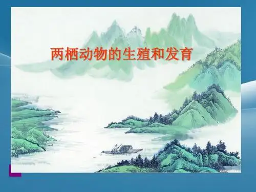 两栖动物的生殖与发育课件