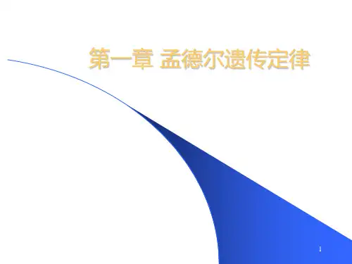孟德尔遗传定律ppt课件