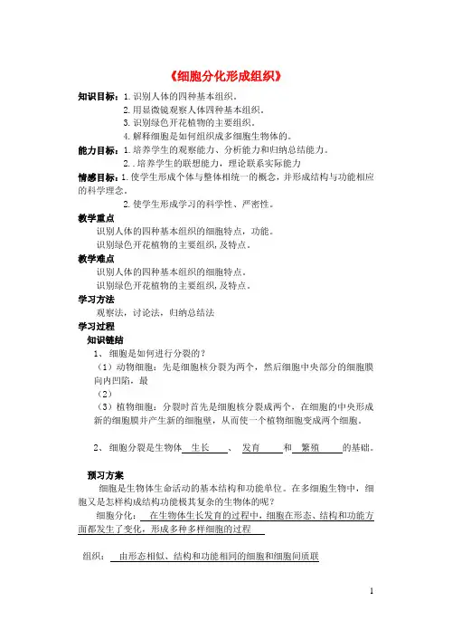 七年级生物上册第2单元第4章生物体的结构层次第1节细胞分化形成组织导学案新版北师大版
