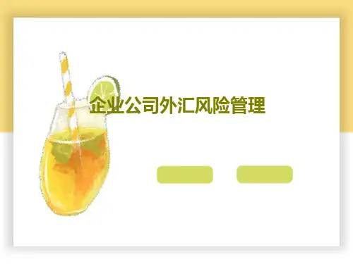 企业公司外汇风险管理共81页