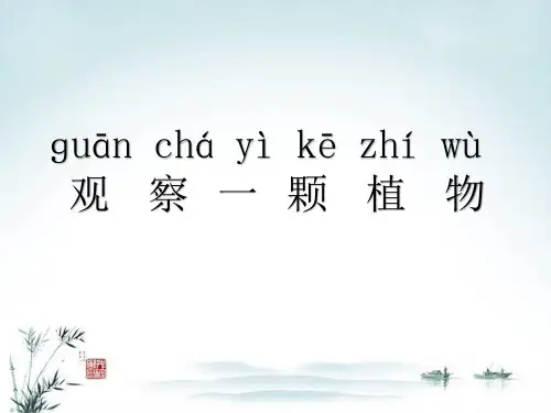 小学科学【苏教版】观察PPT完整版1