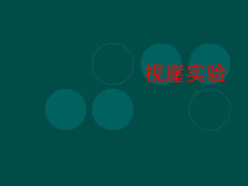 视崖实验
