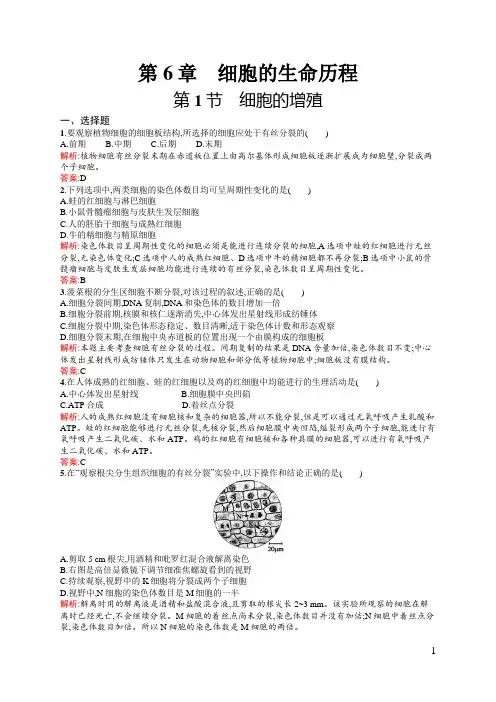 细胞增殖练习题
