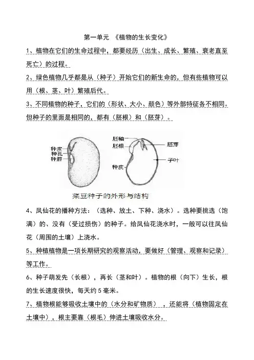 教科版小学三年级科学下册复习资料.