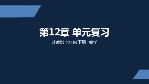 苏教版 中学数学 七年级 下册 复习 PPT课件