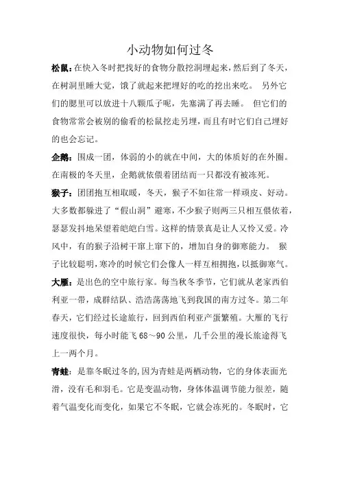小动物如何过冬