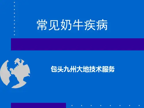 奶牛常见疾病