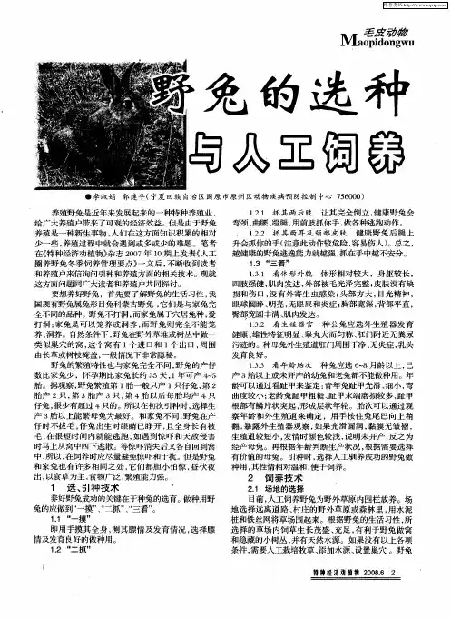 野兔的选种与人工饲养
