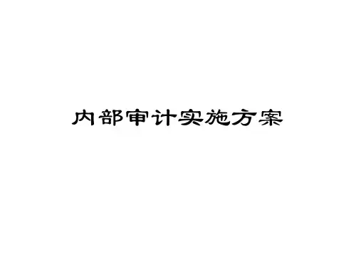 内部审计实施方案