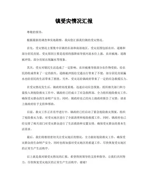 镇受灾情况汇报