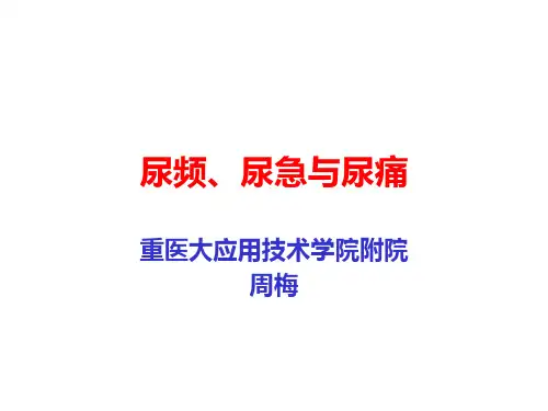 尿频尿急尿痛