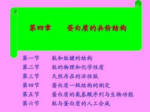 蛋白质的共价结构