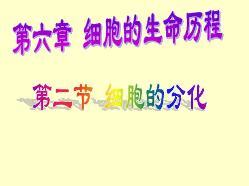 正常人的红细胞的寿命为120d,白细胞的寿命为5-7d,这些血