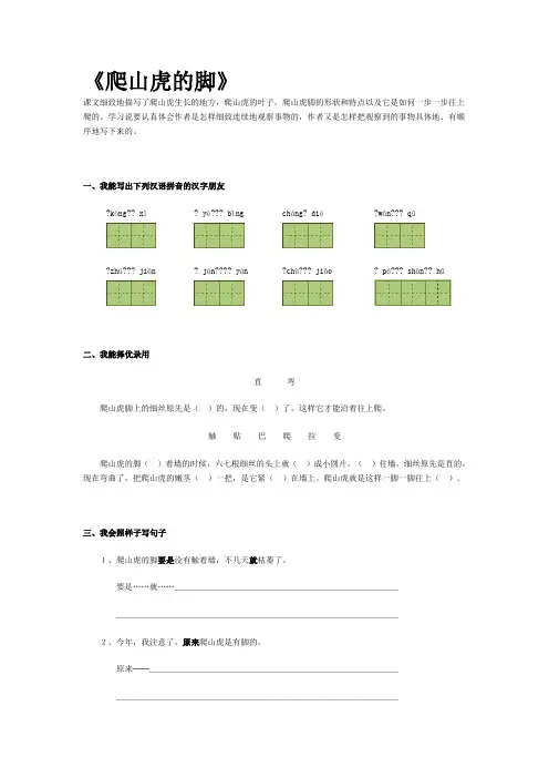爬山虎的脚练习题 2