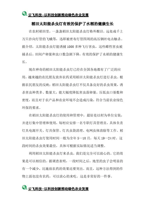 稻田杀虫灯有效的保护了水稻的健康生长