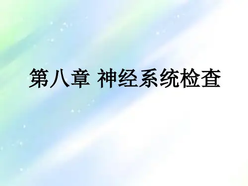 神经系统检查 PPT
