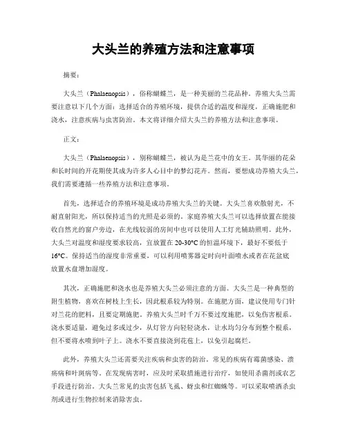 大头兰的养殖方法和注意事项