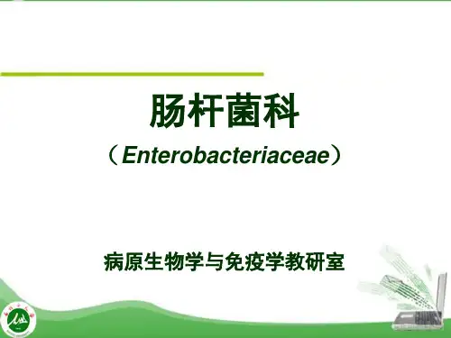 医学微生物学标准化课件  第九章