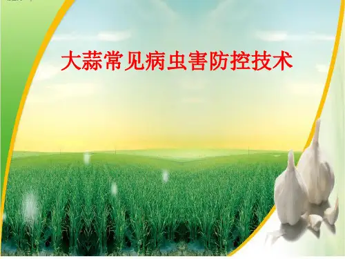 大蒜病虫害防控