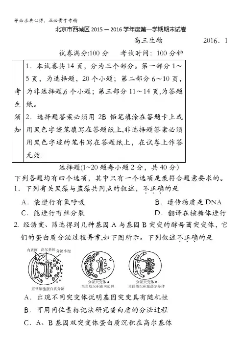 北京市西城区2016届高三上学期期末考试生物试卷 含答案