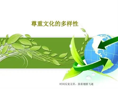 尊重文化的多样性共24页