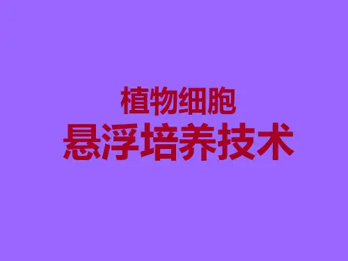 植物细胞悬浮培养技术