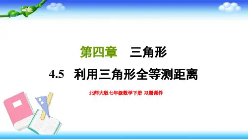 北师大版七年级数学下册 第四章 三角形4.5利用三角形全等测距离 习题课件