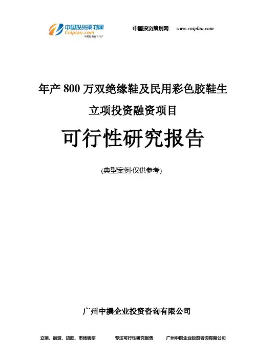 年产800万双绝缘鞋及民用彩色胶鞋生融资投资立项项目可行性研究报告(非常详细)