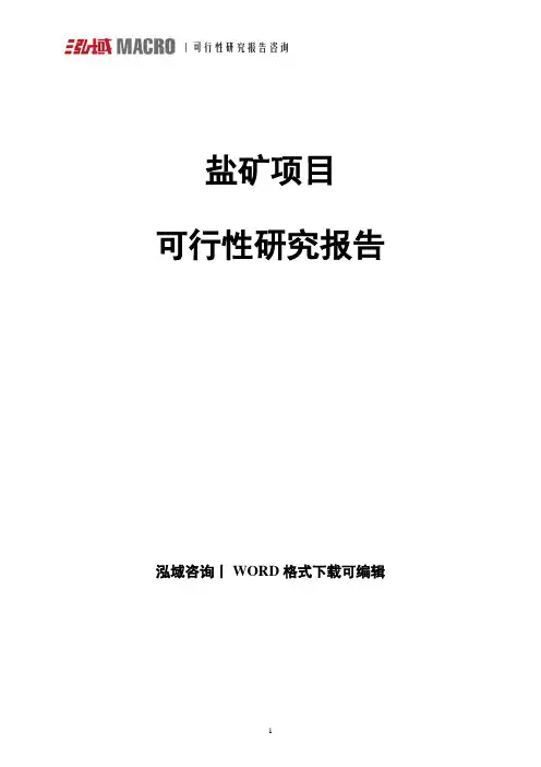 盐矿可行性研究报告