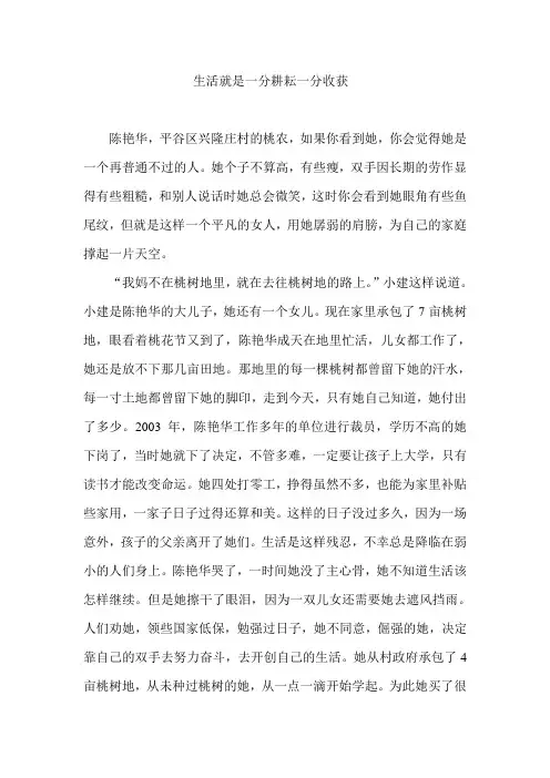 生活就是一分耕耘一分收获