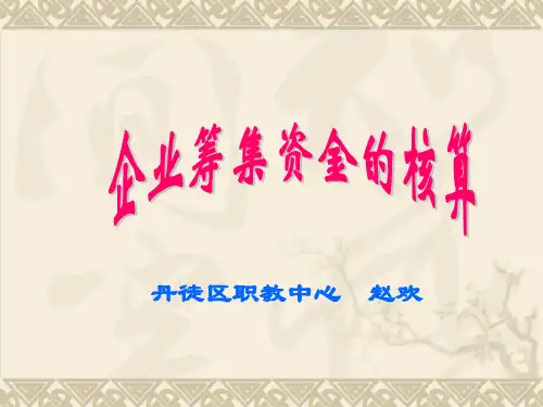 企业筹集资金的核算.